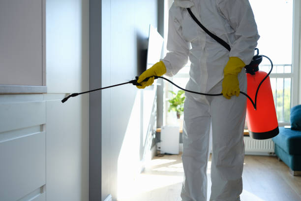 Professional Mold Remediation in Ward, AR